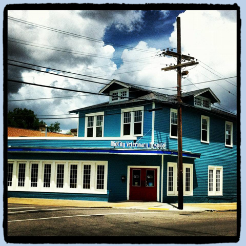 MidCity Veterinary Hospital building.